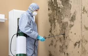 Best Comprehensive Air Testing for Mold Contaminants  in Richmond, MN